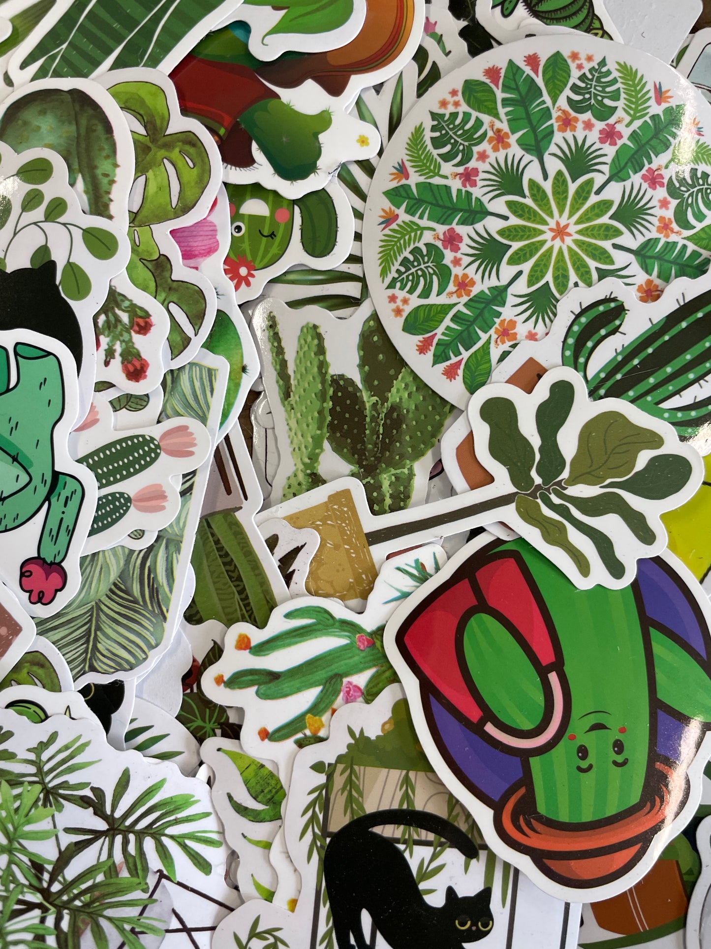 Collants de plantes assortis
