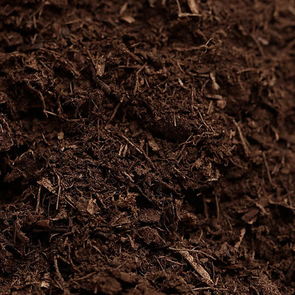 Terreau pour plantes carnivores