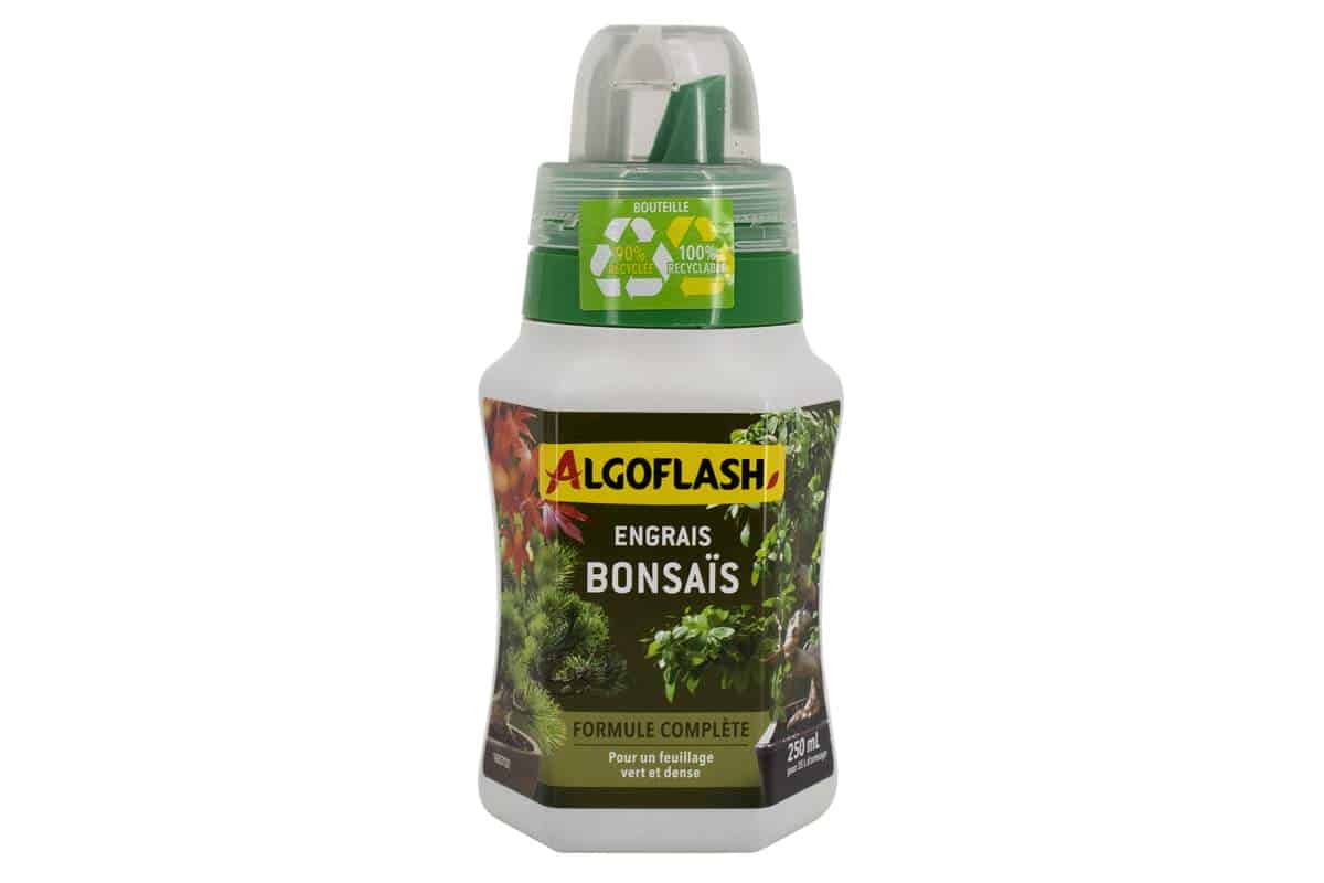 Algoflash Bonsai 3-8-4