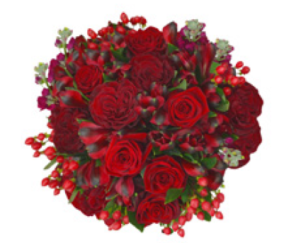 BOUQUET ROSES ROUGE AMORE FEAST 50cm (10 ROSES)