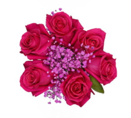 BOUQUET ROSES ROSE FONCÉ BERRY FEAST 40cm (6 ROSES)