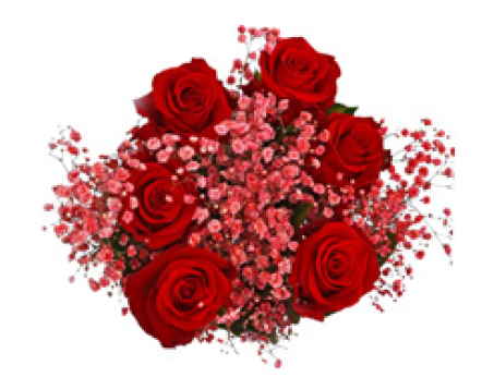 BOUQUET ROSES ROUGE FIERY FEAST 40cm (6 ROSES)
