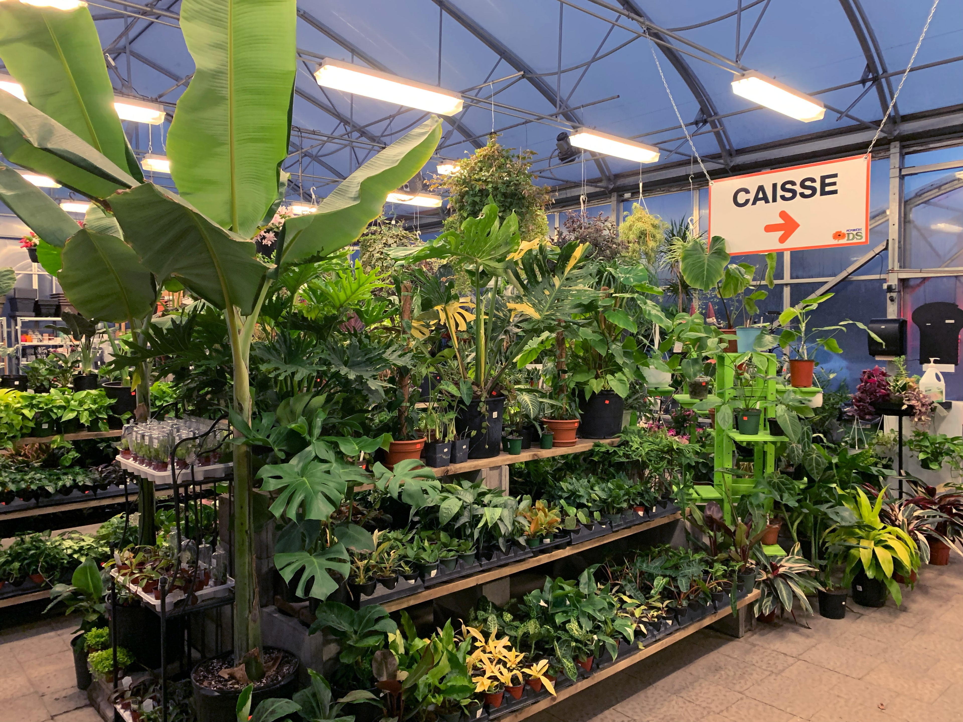 Centre jardin à Québec : Plantes vertes & produits horticoles