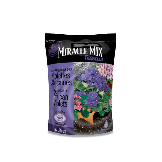Terreau violette