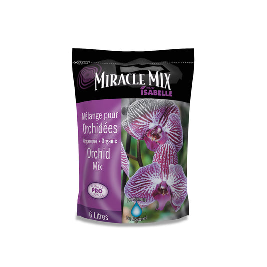 Orchidée