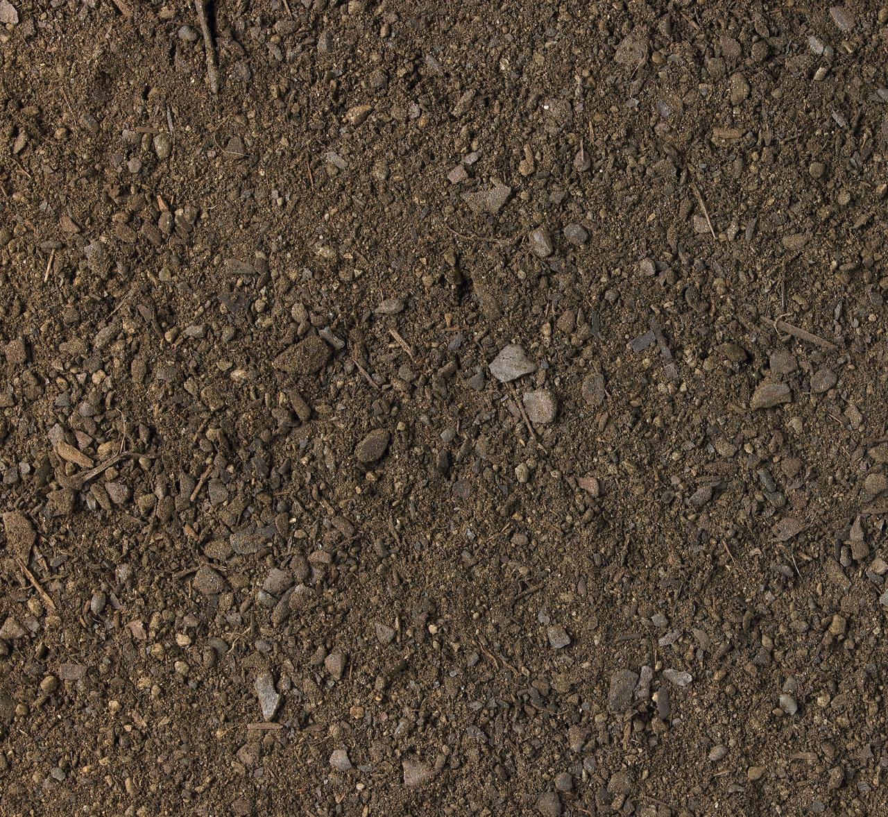 Terre noir d'humus avec peatmoss en vrac