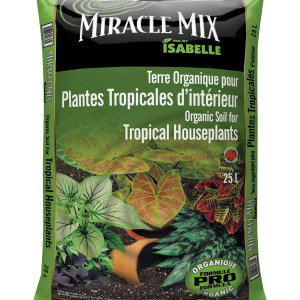 Terreau pour les plantes tropicales